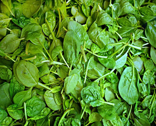 Spinach-Palak Spinach-Palak