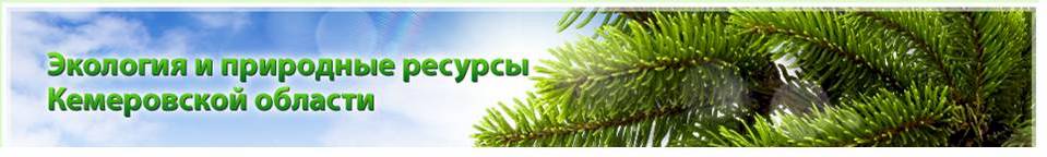 Экология кемеровской области