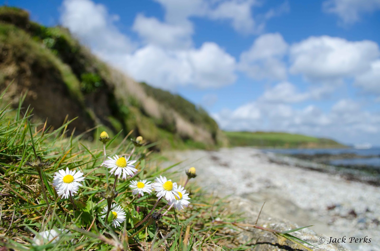 Jack Perks Photography: Rosemullion, Cornwall