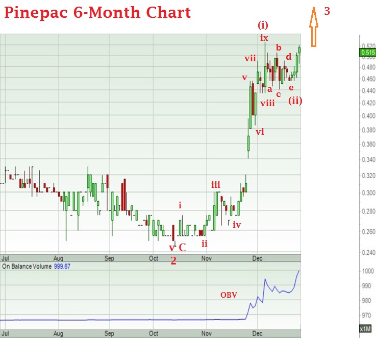 Pinepac share price