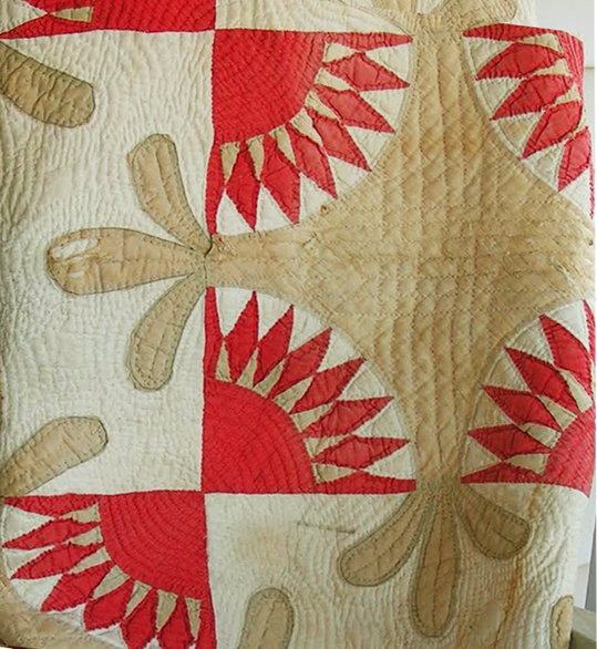 Cloud of Quilt Patterns Whig's Defeat or Ladyfingers