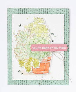 6 Stampin' Up! Simply Succulent Projects ~ January-June 2021 Mini Catalog  #stampinup