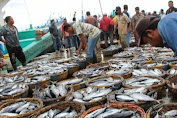 Nelayan, Pengepul dan Penyuluh Dilatih Jaga Kualitas Ikan