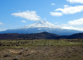 View of Mount Shasta from I-5