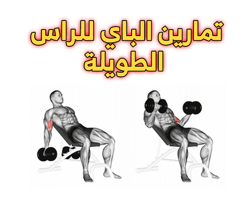 تمارين البايسبس