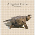Diagram Alligator Snapping Turtle-212 Moving
