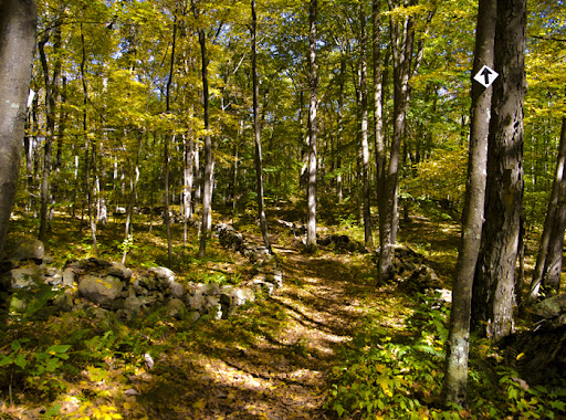 Jump Hill Preserve - Aspetuck Land Preserve - Easton, CT