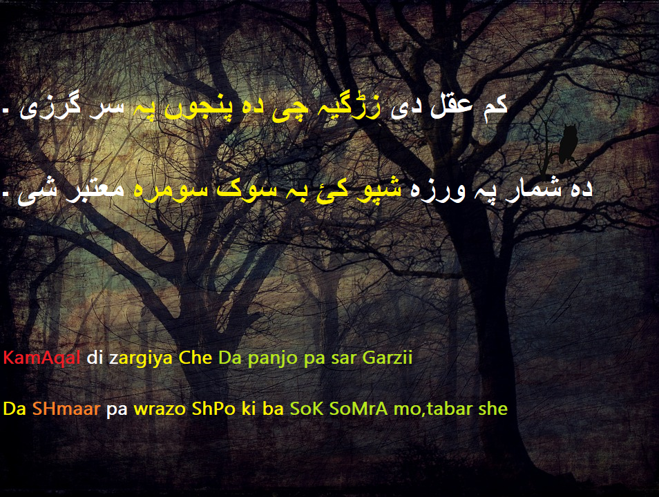 100 Pashto Poetry Shayari shairi Pashto Poetry lovers Quote Poetry