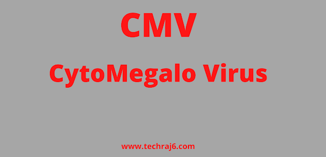 CMV full form, What is the full form of CMV 