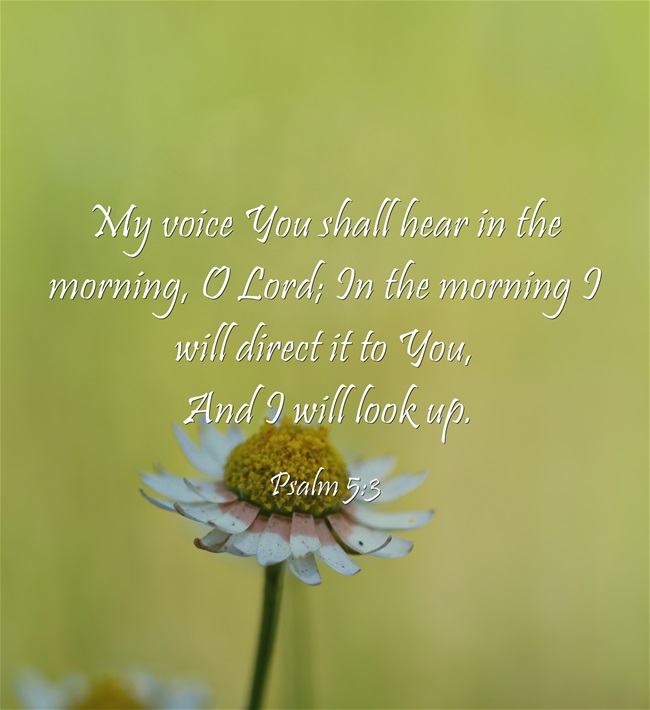 Good Morning with God My voice you shall hear in the morning PS. 53