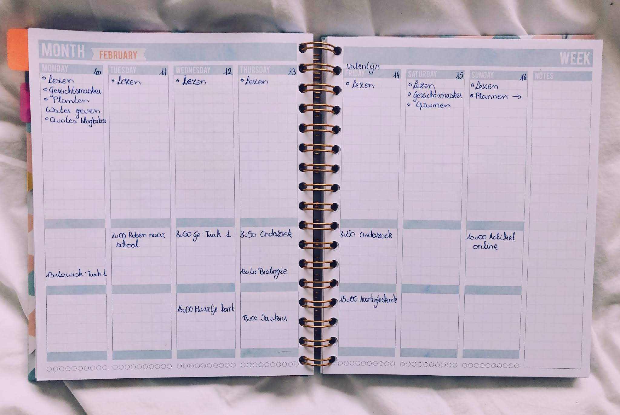 Plan with me (Mascha planner) Happybeat