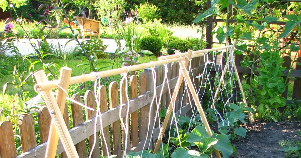 Uprawa ogórków przy podporach składany stelaż Ogród przydomowy