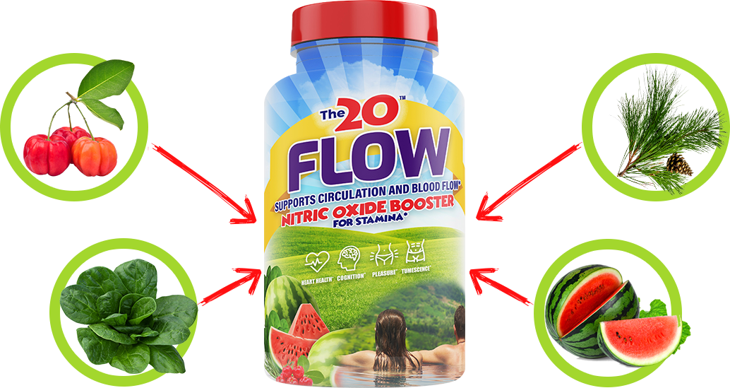 The 20 Flow Nitric Oxide Booster Review LinhTrang7001