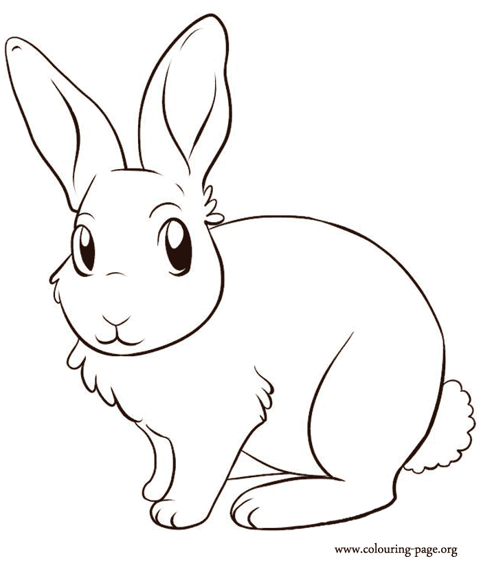 Rabbits Coloring Pages Coloring Pages