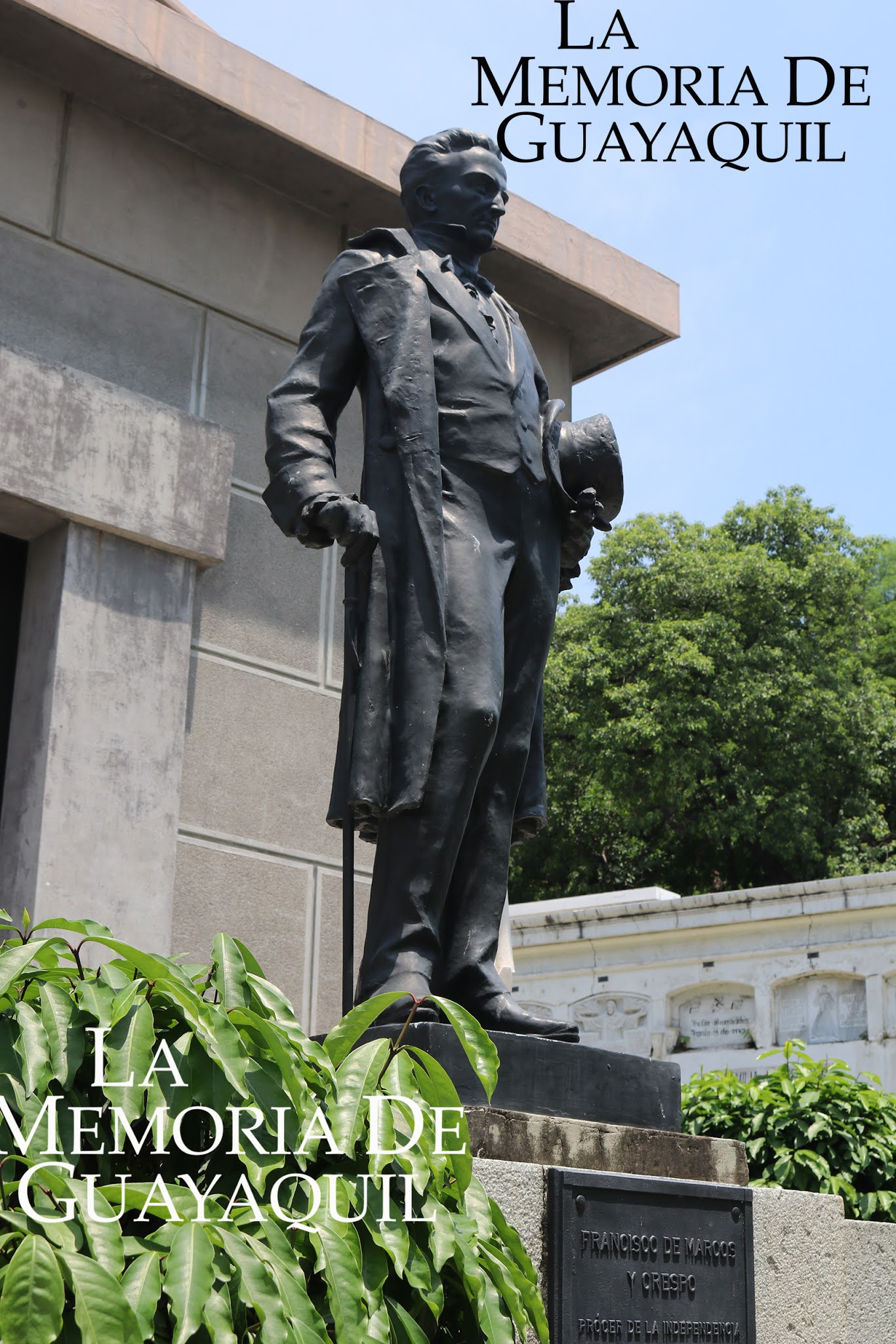 Dr. FRANCISCO DE MARCOS