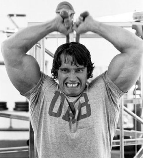 show video : Arnold Schwarzenegger Mr. Olympia 1975-1980
