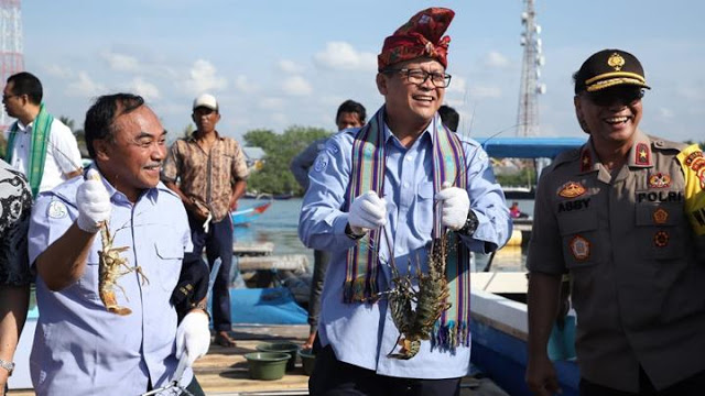 Edhy Prabowo Akui dari 26 Eksportir Lobster Ada dari Gerindra Edhy Prabowo Akui dari 26 Eksportir Lobster Ada dari Gerindra