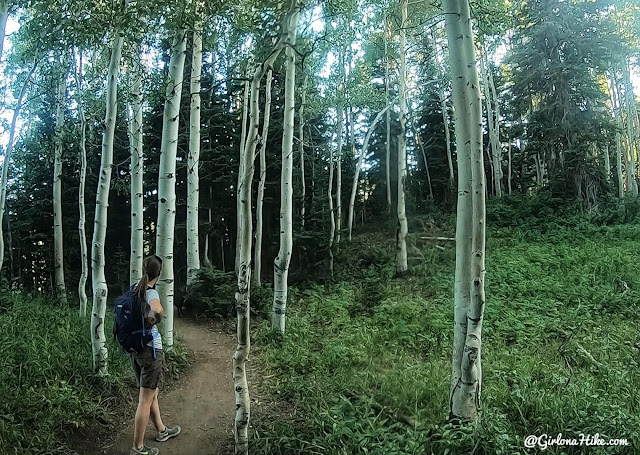 Hiking to Bloods & Lackawaxen Lakes