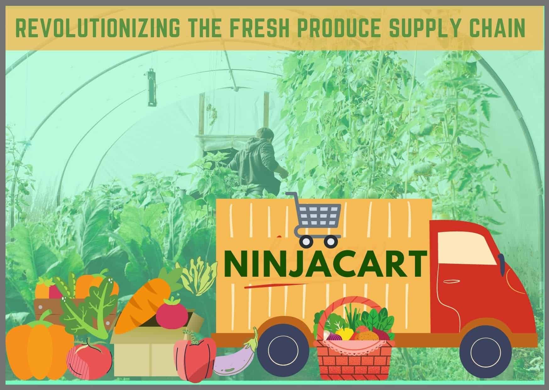 india's largest fresh produce supply chain - ninjacart | ninjacart business model