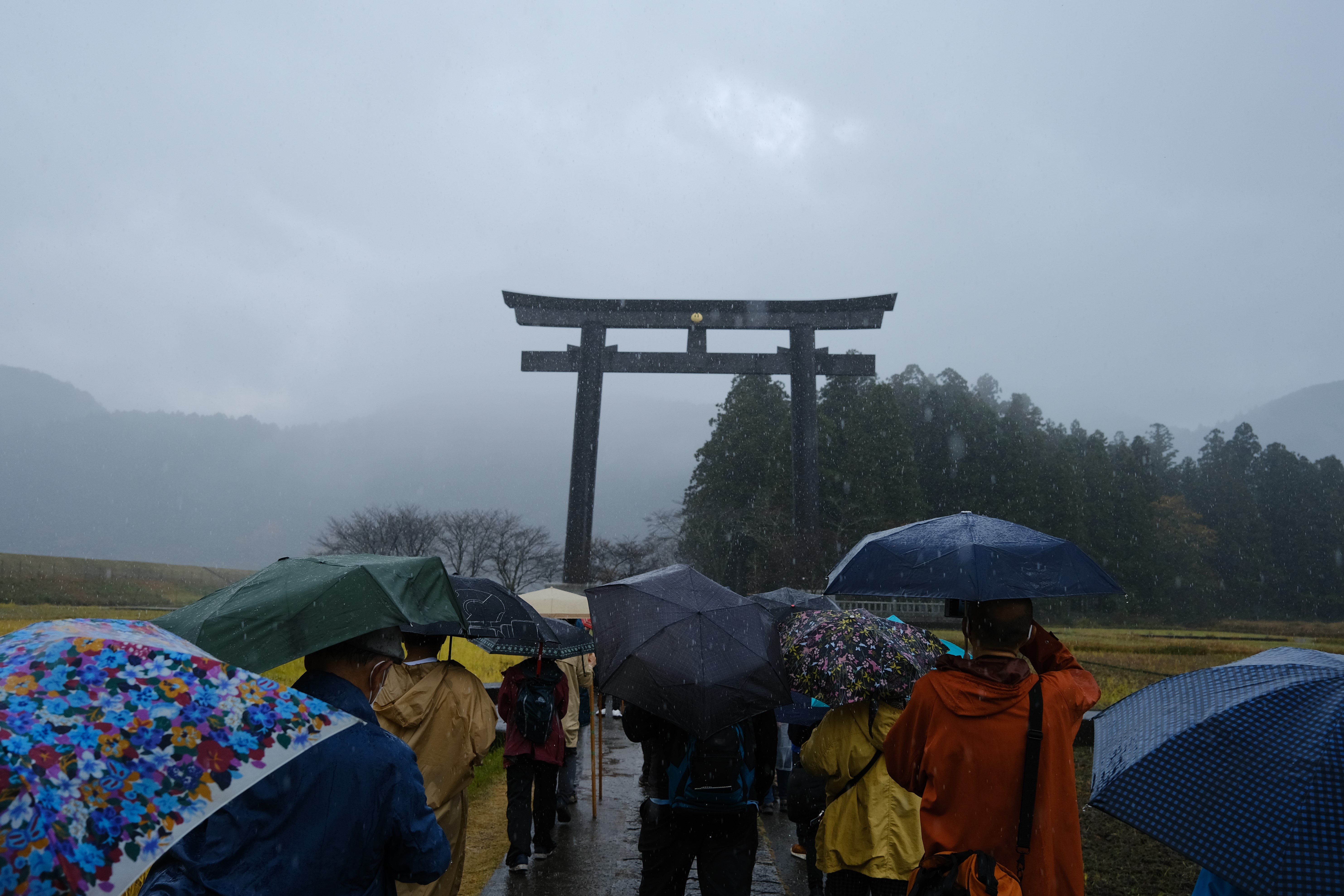 DSCF1217.JPG