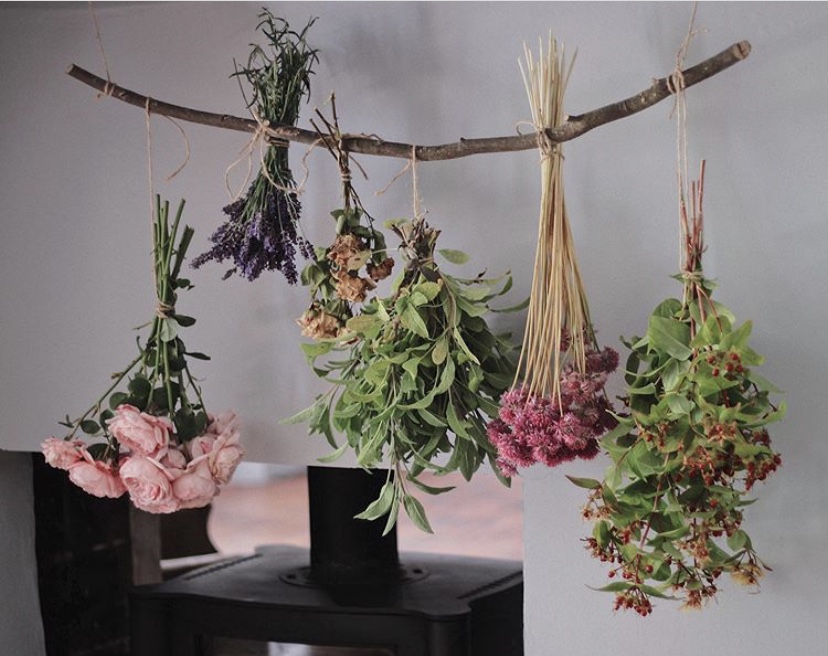 From Instagram | English Country Life with @irenemylife