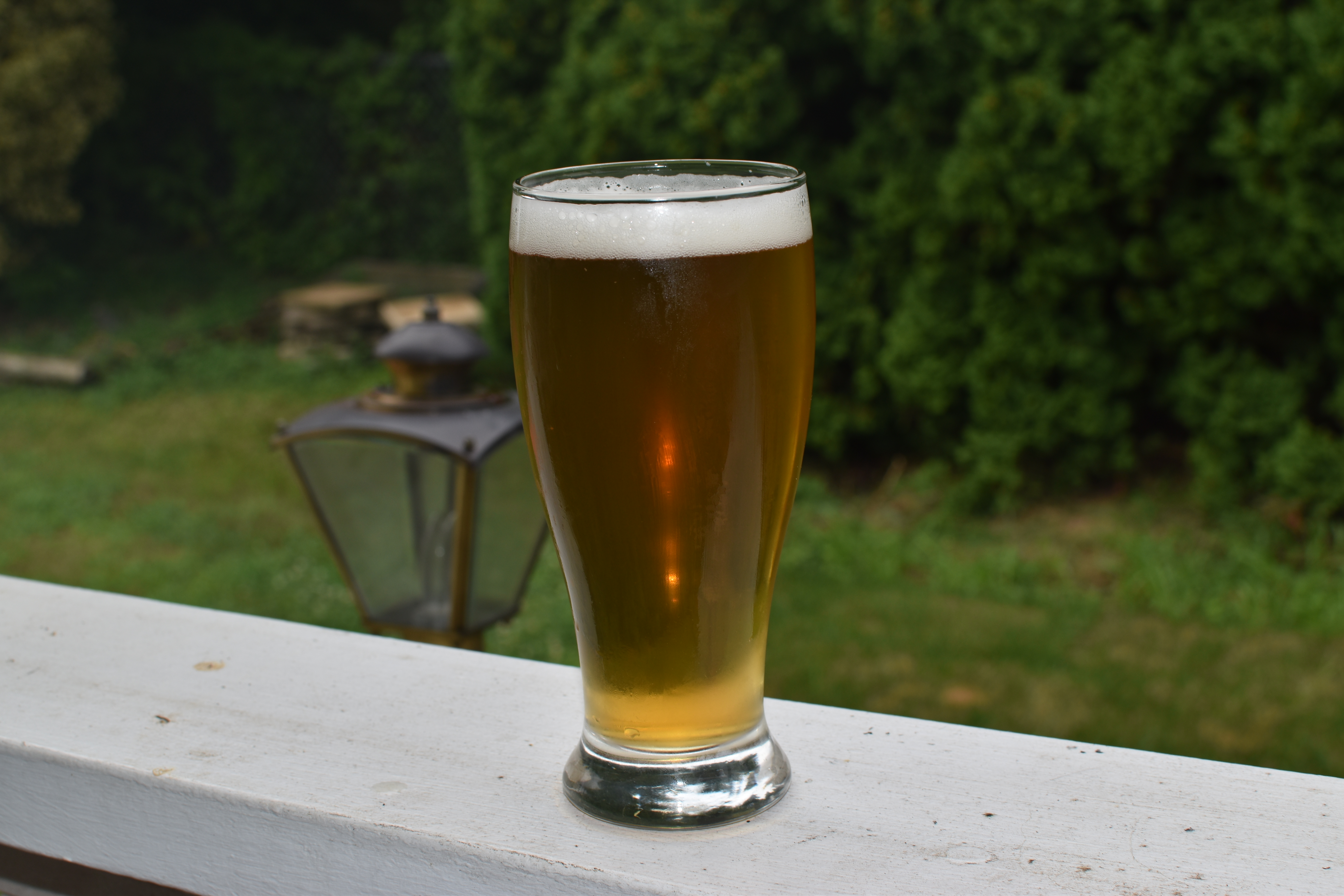 Andrew's Homebrew Log Zappa Pale Ale Tasting Notes