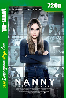  Nanny Surveillance (2018) 
