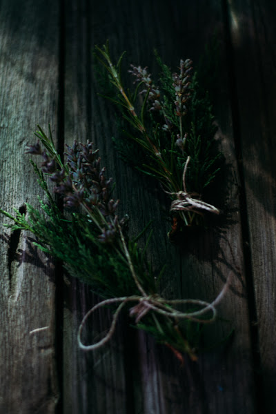 Ramilletes plantas diy