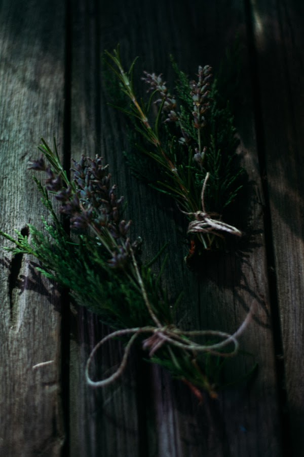 Ramilletes plantas diy