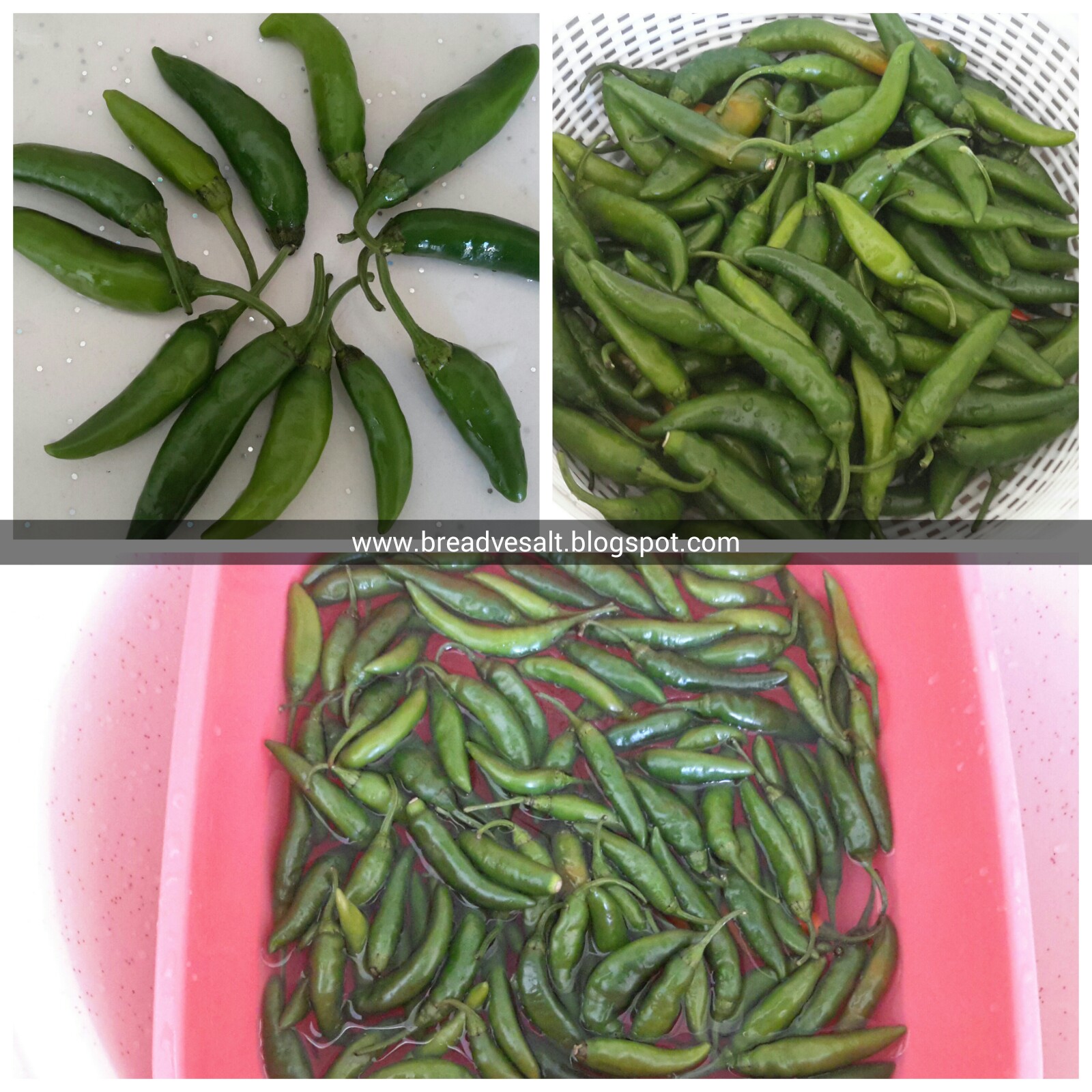 Pickled Chili Peppers