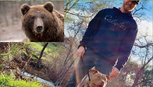 Hombre luchó con un oso para salvar la vida de su perro