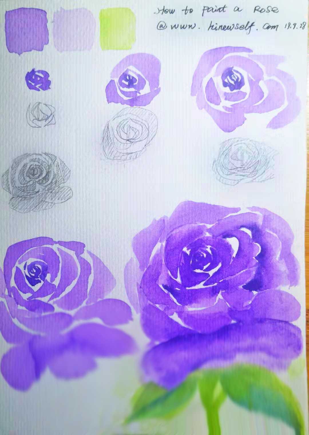 How to paint watercolor rose, peony flower skills