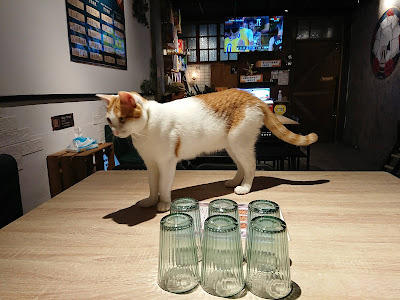 【永和桌遊店】有店貓及飲料自助吧的桌遊店——貓咪貓咪CATCAT G8 桌遊披薩主題餐廳 永和頂溪店