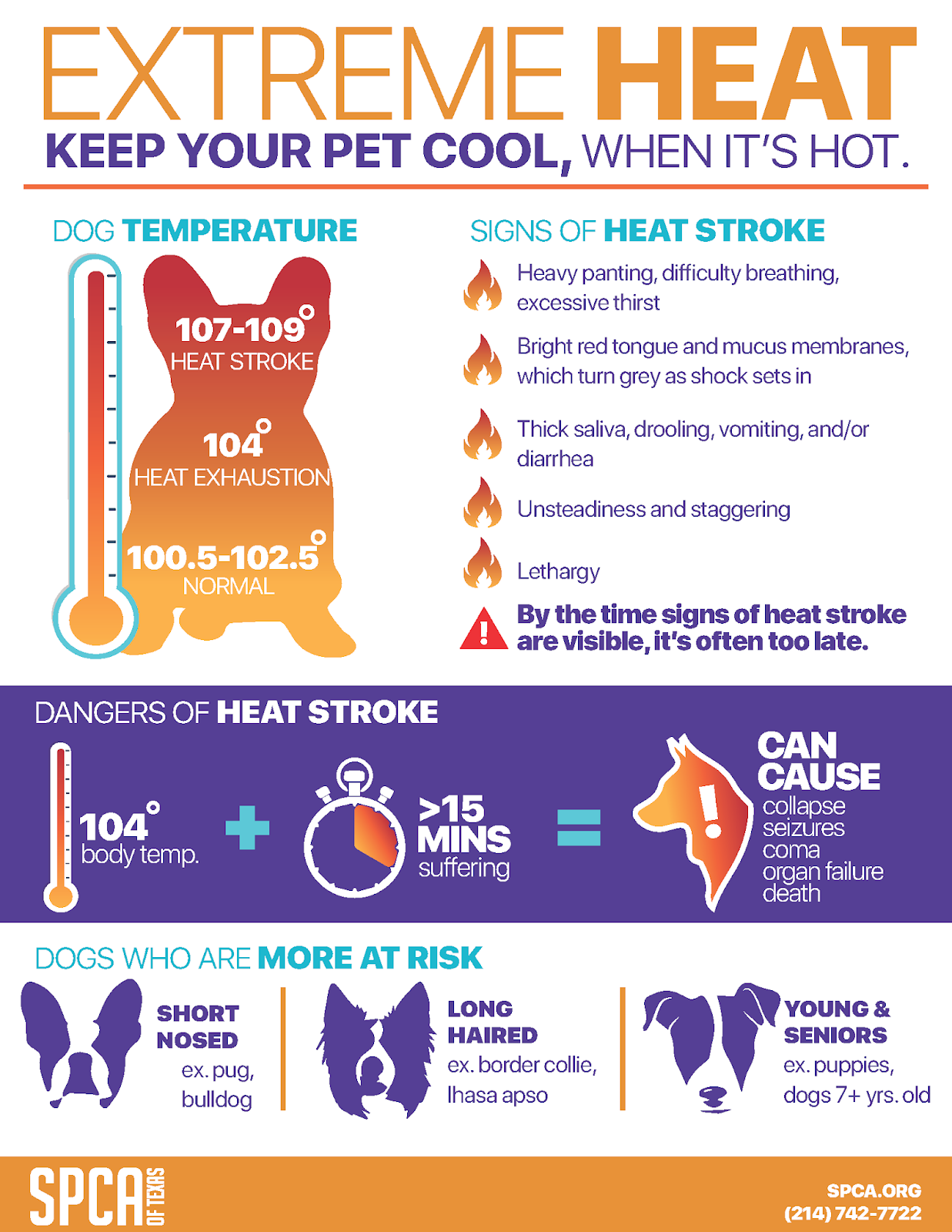 Can A Dog Survive Heat Stroke