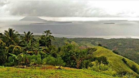 Mount tumpa mountain is a protected and shady green debt