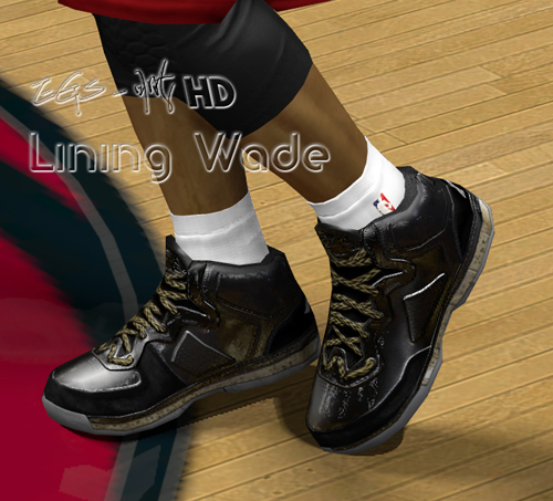 Dwyane Wade  NBA Shoes Database