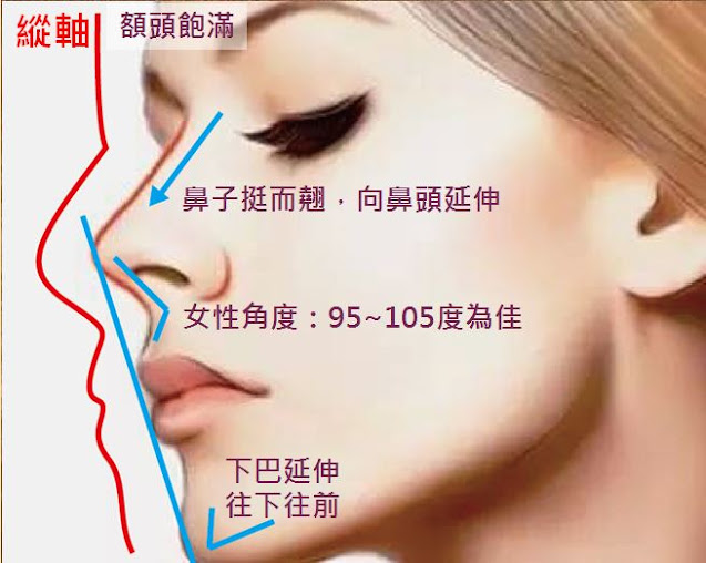 人的臉部縱軸，從上到下主要可分為額頭、眉間、鼻樑、下巴這四大部位；以女性面部的側面為例，塑造圓潤飽滿的額頭，塑型挺而俏的鼻子，鼻尖到人中的角度以95~105度為佳，下巴尖則可以稍微往前/往下延伸。光澤的藝術面雕不侷限單一部位的治療，而是全方位依照客戶的輪廓比例精雕，讓效果更完美協調。