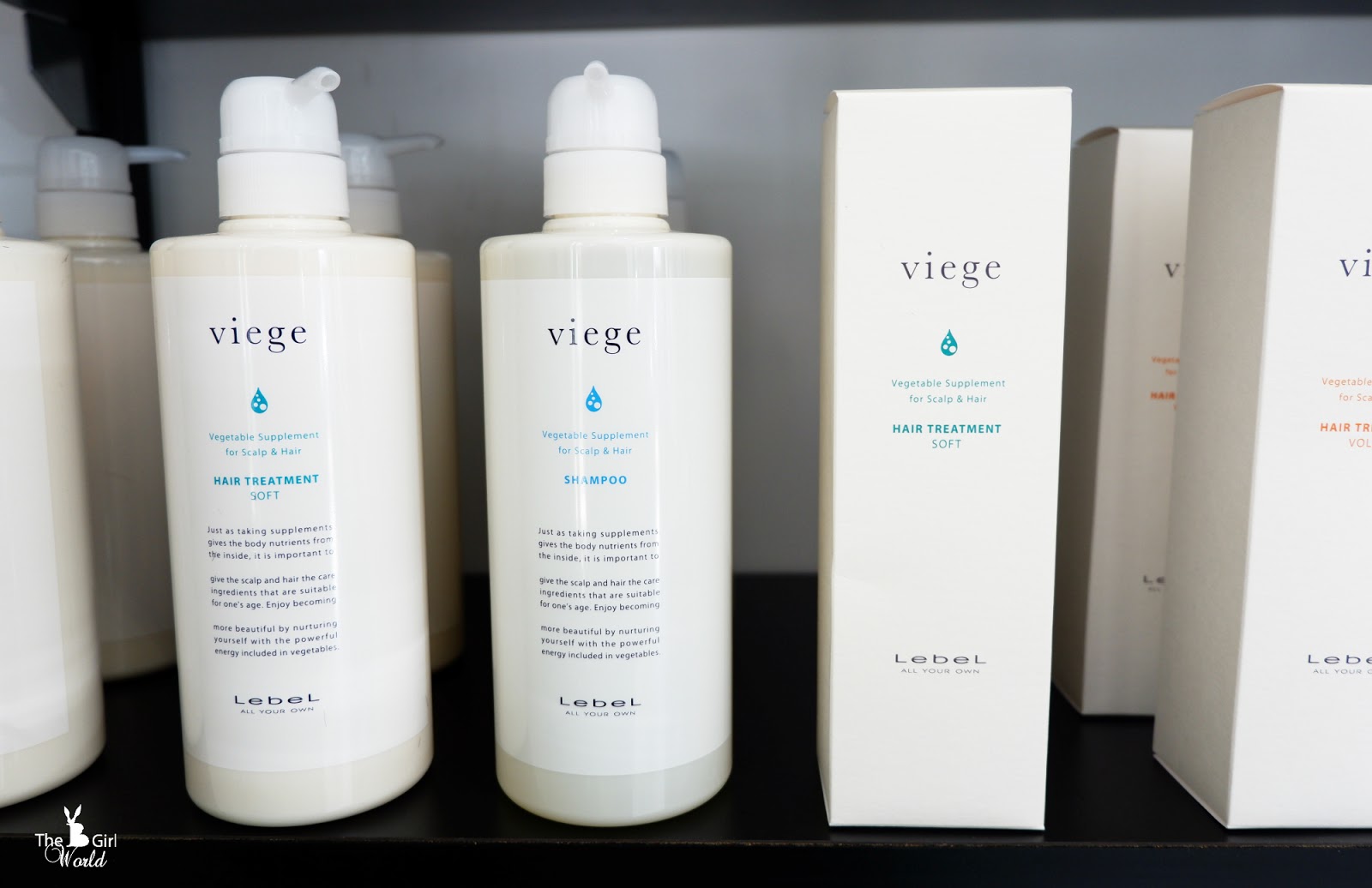 Viege Scalp Treatment Kim De Houz Puchong by Bowie Cheong