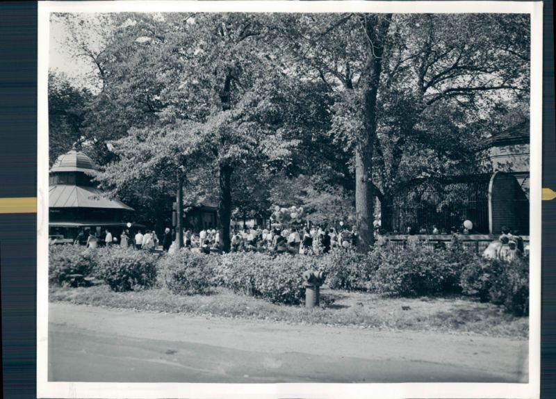 The Circus "NO SPIN ZONE": Lincoln Park Zoo Landmark Cafe--Preserving ...