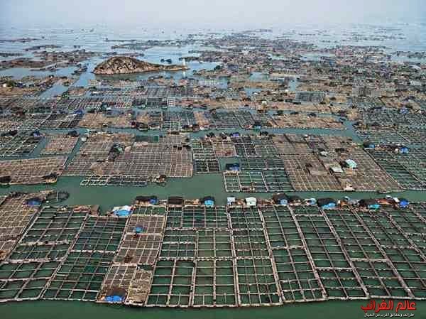  خليج هيوان، الصين
