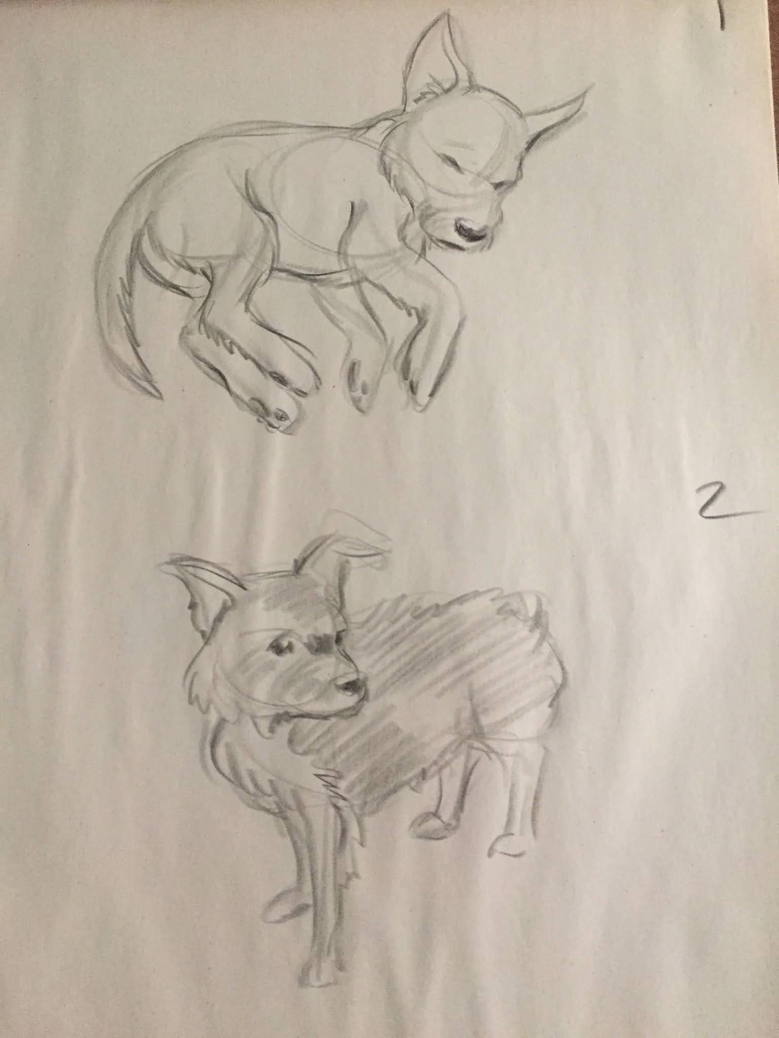Tina Nawrocki - Art and Animation: Model Drawing - Animals - Family Pets