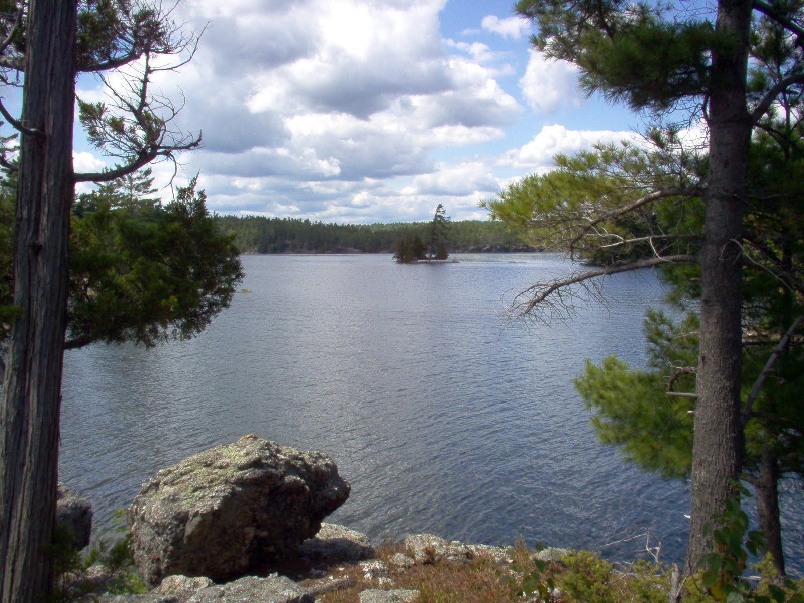 Matt's Beer Den Matt Brewing Company Sampler Pack Or, My Future