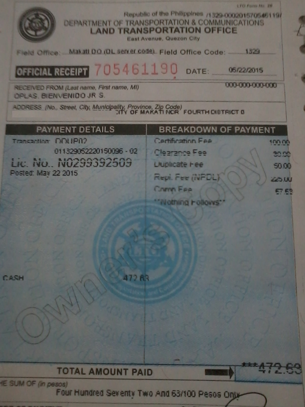 Government and Taxes LTO Bureaucracy 8, No Driver's License Available