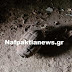 Χόμορη Ναυπακτίας: Δύο χειροβομβίδες βρέθηκαν σε αυλή σπιτιού (ΒΙΝΤΕΟ-ΦΩΤΟ)
