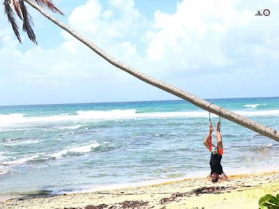 yoga-aereo-ejercicio-inversion-mar-caribe-aero-sirsasana-aeroyoga-institute-puerto-rico-wellness-salud-bienestar