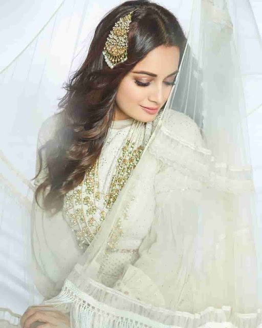 dia mirza honeymoon photos