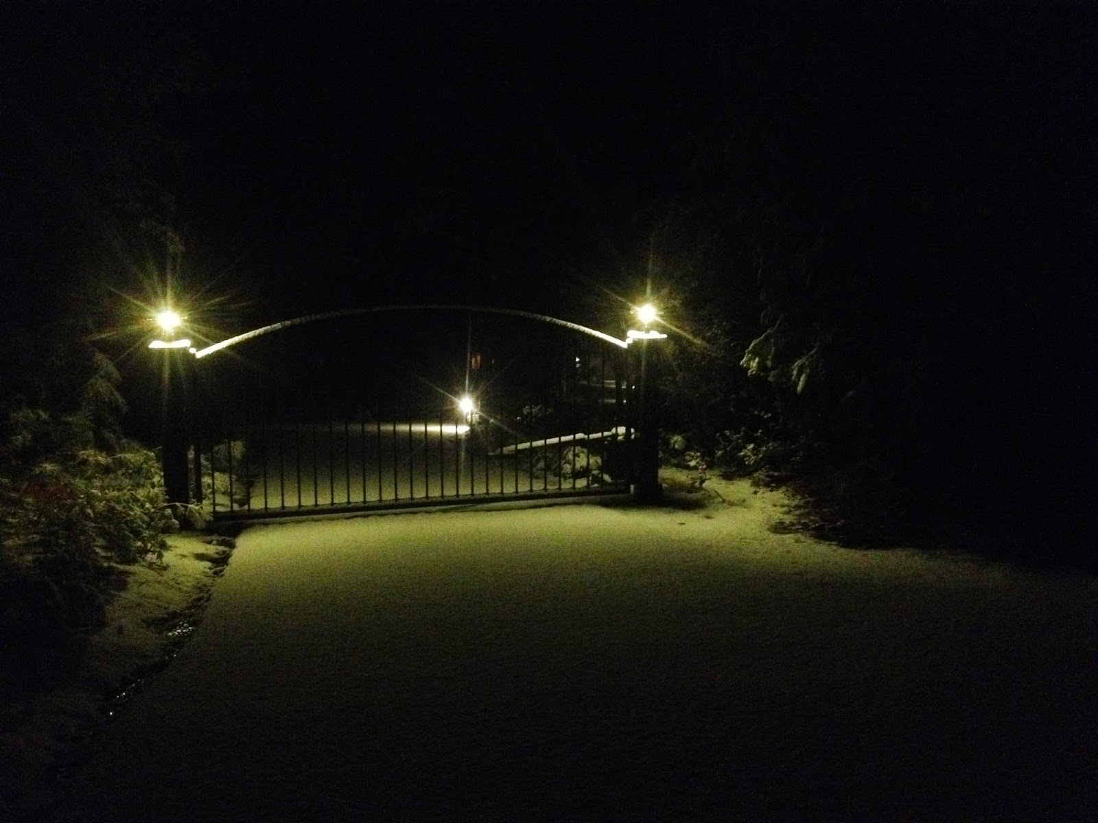 Living Iron Driveway Gate with Lights
