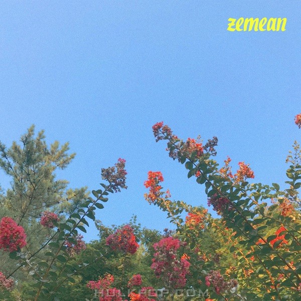 zemean – You’re the One – Single