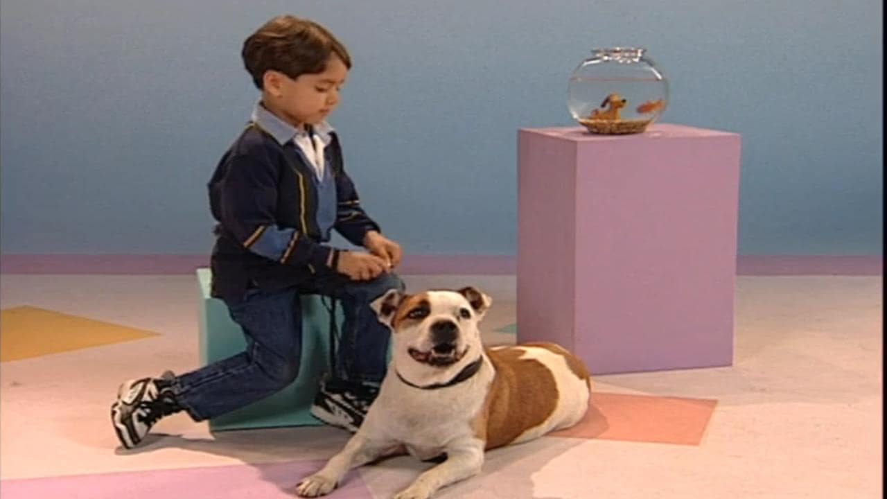 Watch Elmo's World Dogs