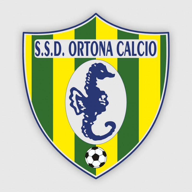 Ecco la SSd Ortona calcio, squadra competitiva ed ambiziosa.
